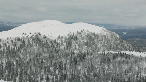 The Gol Area Vídeo Stock 108575080