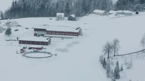 The Gol Area Vídeo Stock 108575796