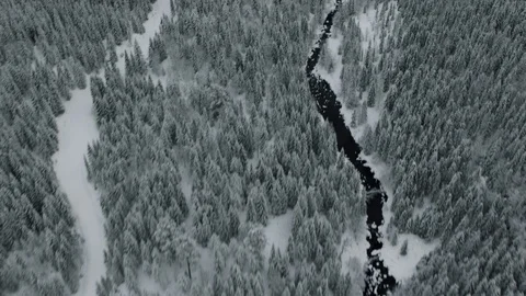 The Gol Area Vídeo Stock 108576149