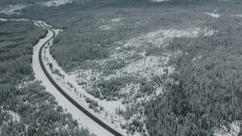 The Gol Area Vídeo Stock 108576341