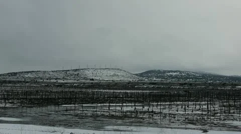 Golan hights snow 1 動画素材 10825976