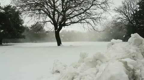 Golan hights snow 4 Stock Footage 10816741