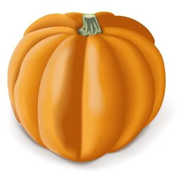 Gold acorn squash Stock Illustration
