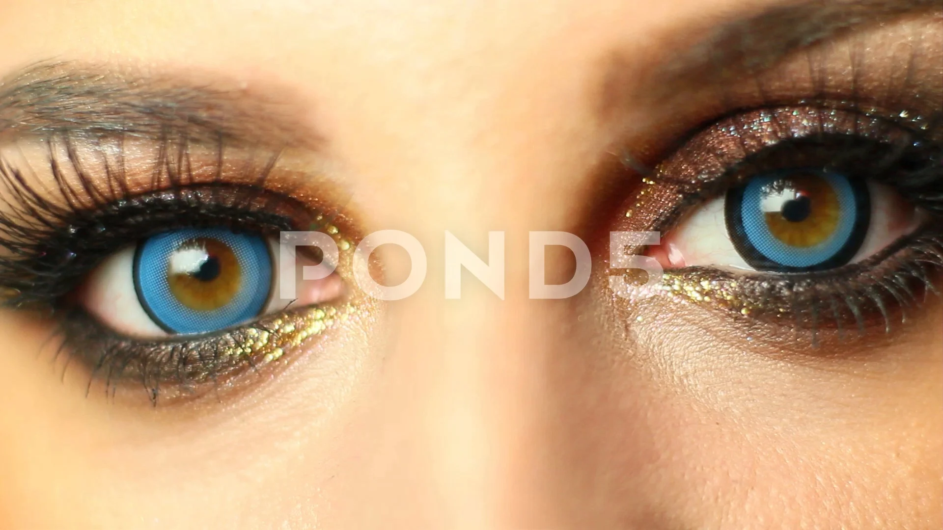 goldeneyes #goldeyes #gold #golden #eyes #greeneyes #blueeyes