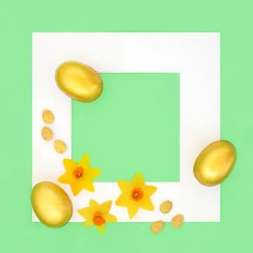 Gold and Mini Easter Egg  Narcissus Flower Background Frame Stock Photos