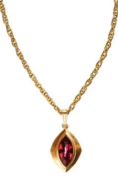 Gold and ruby pendant on chain Foto stock