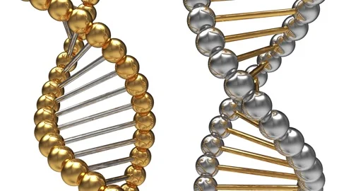 Gold and silver DNA helices shift in 3D animation. Vidéo 338286972