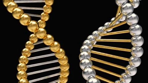 Gold and silver strands of DNA helices rotate on black, 3D rendering. Stock Footage 335596449