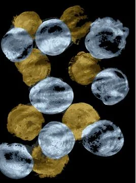 Gold and silver texture in the form of circles Stock Illustration