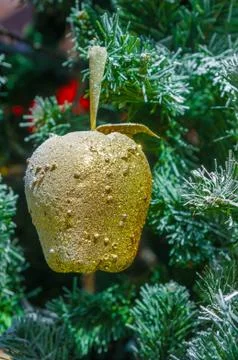 Gold apple. Stock Photos