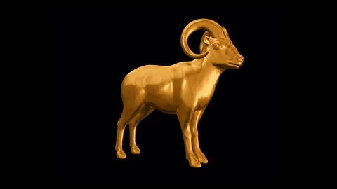 Gold argali statue Stock Footage 94259031