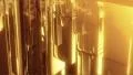 Gold background LOOP HD Footage
