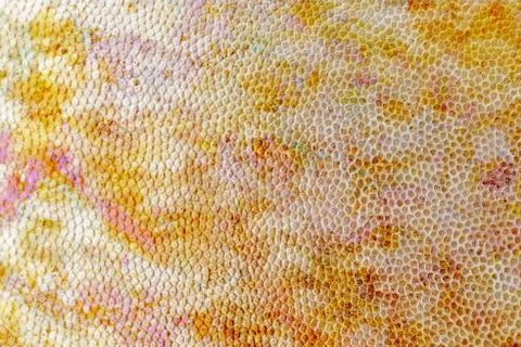 Gold background. Rough golden texture. Luxurious gold paper temp Stock Illustration