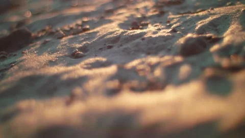 Gold beach macro ocean sand on summer evening sunset Stock Footage 164242759