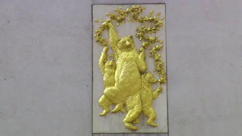 Gold Bears, pan right Video stock 144647840