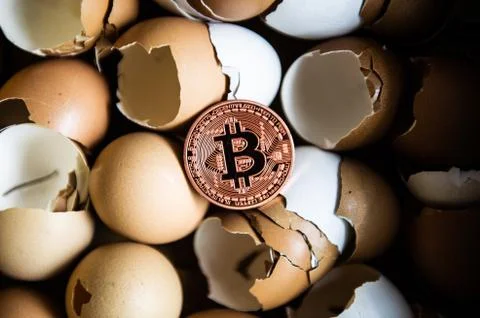 Gold bitcoin coin in broken eggshell Stock Photos
