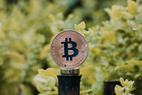 Gold bitcoin coin Stock Photos
