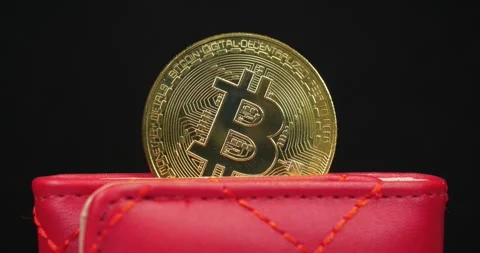 Gold bitcoin coin stored in crypto wallet representing blockchain technology Stock Footage 332308983