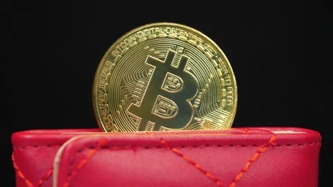 Gold bitcoin coin stored in crypto wallet representing blockchain technology Stock Footage 333075541