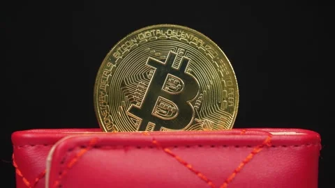 Gold bitcoin coin stored in crypto wallet representing blockchain technology Stock Footage 335108718