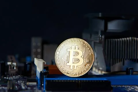 Gold Bitcoin electronic computer processor board 스톡 사진