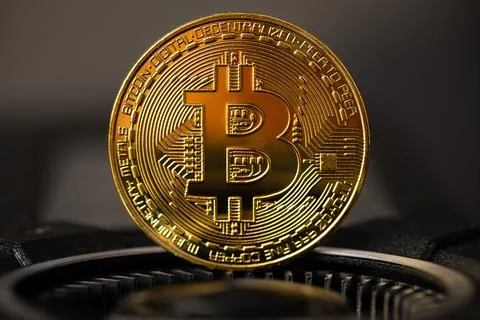 Gold bitcoin standing on crypto mining GPU computer hardware Stock Photos