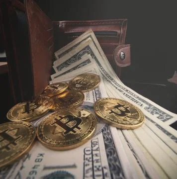 Gold bitcoin, on top of dollar stack. Stock Photos