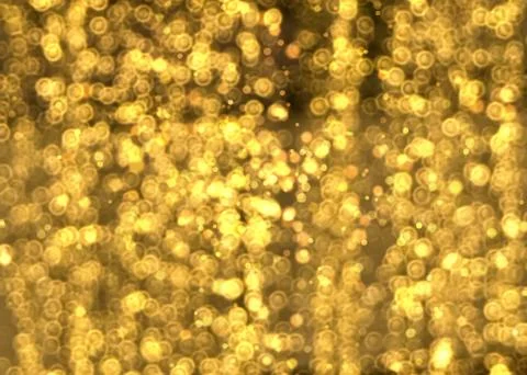 Gold Bokeh Background Stock Photos