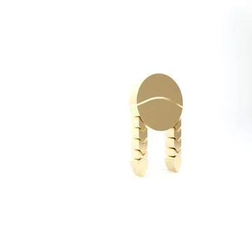 Gold Braid icon isolated on white background. 3d illustration 3D render イラスト素材