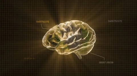 Gold brain with code Stock Footage 8853780