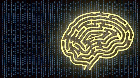 The Gold Brain maze on Digital background  3d rendering. Stock Illustration