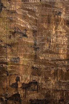 Gold brown facade plaster structure. Wall texture background Stock Photos