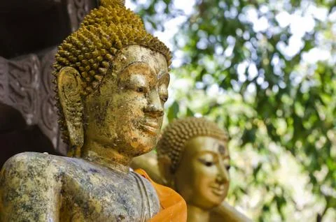 Gold buddha statue Фото