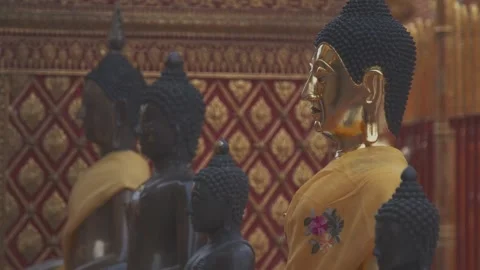 Gold buddha statue's inside a temple Stock Footage 279295500