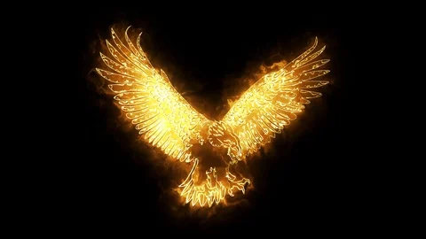 Gold Burning Eagle Animated Logo Loopabl Stock Video Pond5