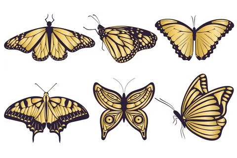 Gold butterflies set isolated vector illustration Stock Illustration