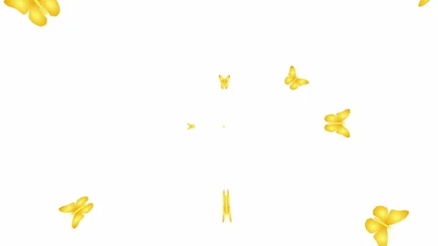 Gold butterfly white Stock Footage 165655487