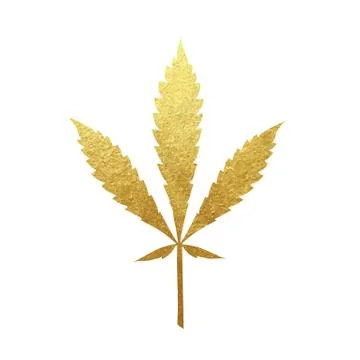 Gold cannabis leaf vector Stock Illustration