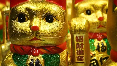 Gold cats Stock Footage 72601414