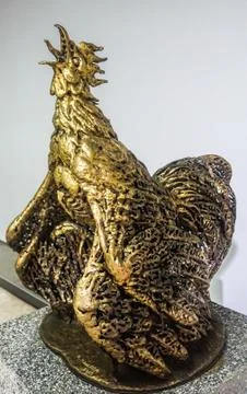 Gold chook 스톡 사진