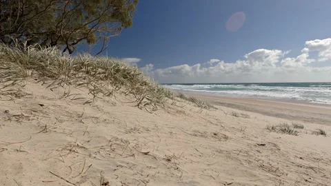 Gold Coast beach skyline Australia  Stock Footage