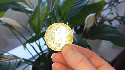 Gold coin bitcoin in hand Stock Footage 171913352