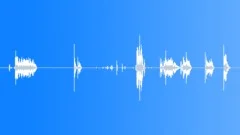 Gold CoinSound Effect