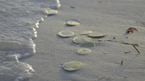Gold coins on the beach Stock Footage