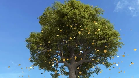 Gold coins falling from a big tree, Concept of investment Video stock 249732899