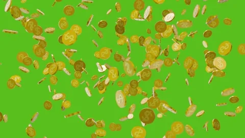 Gold Coins Falling Down animation on solid background. Stock-Footage 335986452
