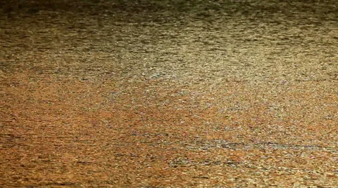 Gold color water reflection Stock Footage 30709928