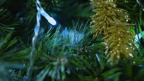 A gold colored ornament hangs from a tree Stock Footage 278099669