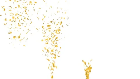 Gold Confetti Animation Pack With Alpha Channel. Stock Footage