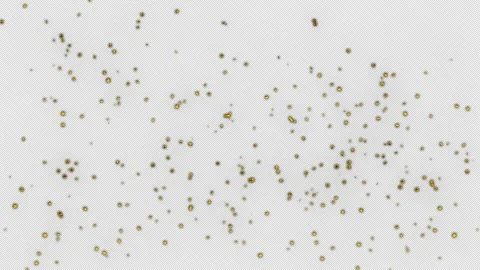 Gold Confetti Explosion Animation on a transparent background. 3D Gold Confetti Stock Footage 258946269